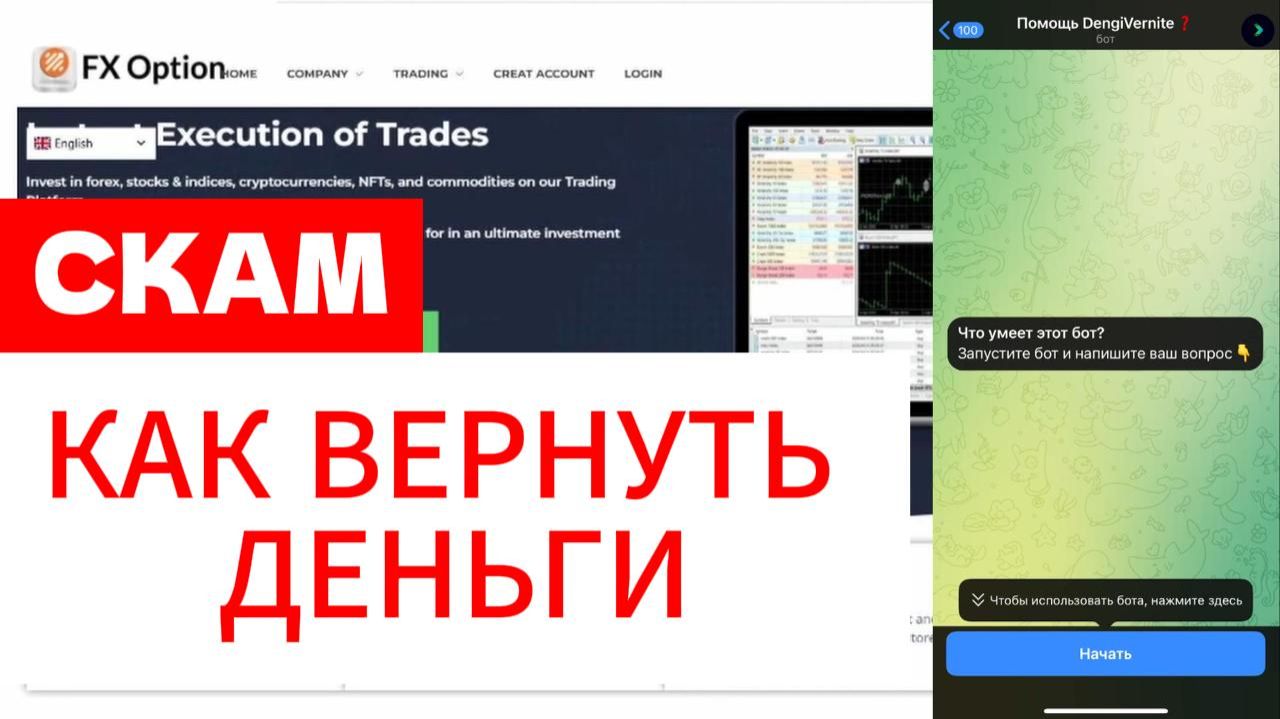 Fx Option Exchange Limited (fxoptionexchange.com) обзор, отзывы. Развод? смотреть онлайн