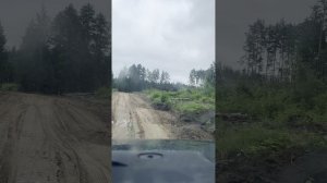 ЛЕСНОЙ ДВиж на патрулировании