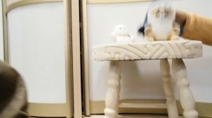Анюта и её друзья пушистик 2 серия 1 часть