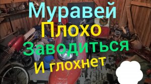 Муравей заводиться и глохнет не держит холостые