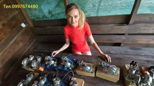 Чим відрізняються ГАЗ бензин карбюратори до інверторних та  звичайних генераторів