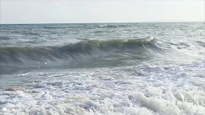 Керчь, на Аршинцевской косе, 23 ноября 2025.