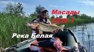 Открытие большой воды в Масадах , на реке Белая.