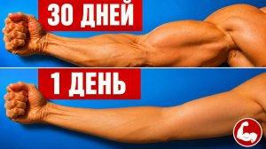 Как увеличить РУКИ за 30 дней | Домашние тренировки | Дома