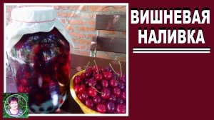 Рецепт вишневой наливки. Заготовки на зиму из вишни