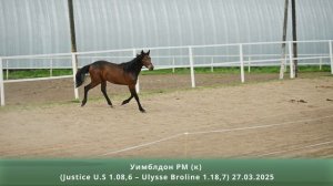 Уимблдон РМ (к) (Justice U.S 1.08,6 – Ulysse Broline 1.18,7) 27.03.2025