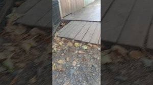 В зоопарке 🦁