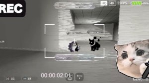 Раскрыла ЛИЧНОСТЬ черного кота в roblox