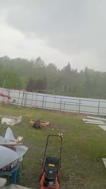 Погода взбунтовалась