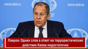 Лавров: Одних слов в ответ на террористические действия Киева недостаточно