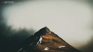 Melancholic Bird - Skyflow