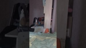 вечерний влог с девочками