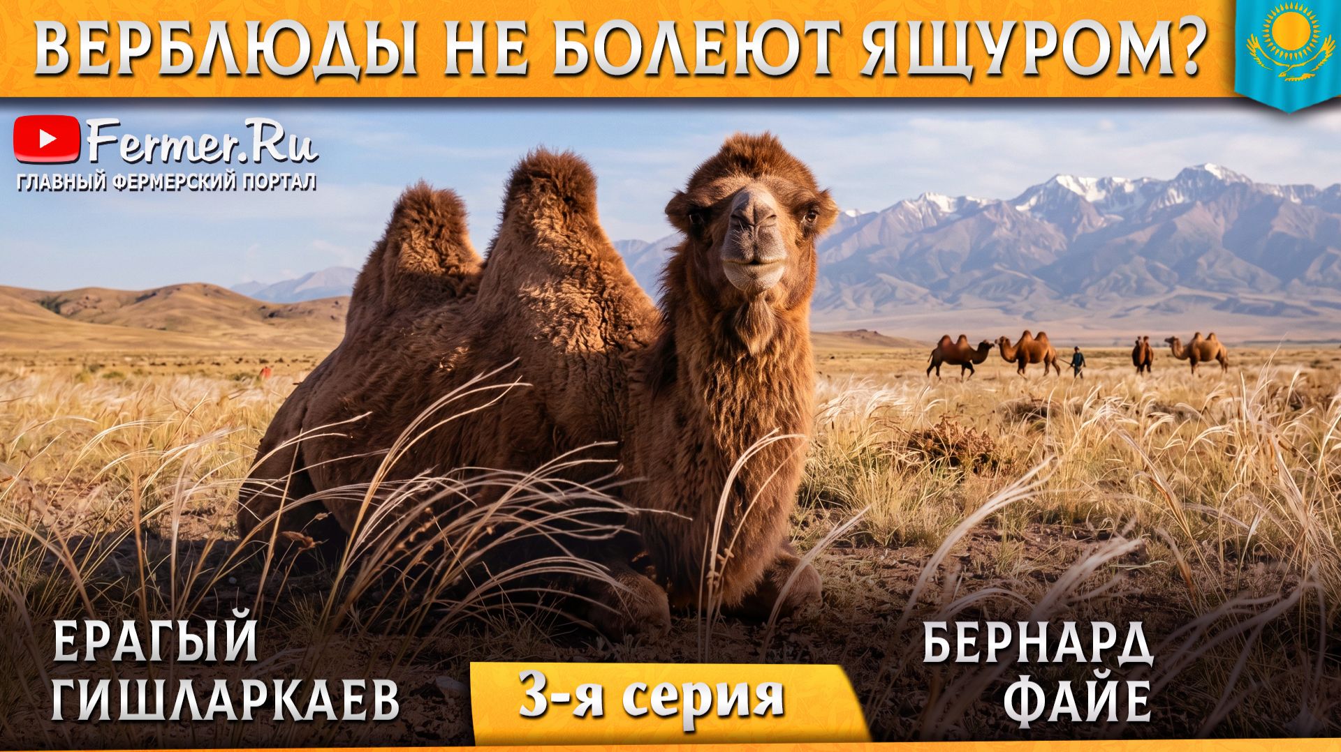 🐫Гиперинтенсивное животноводство и риски для фермеров. Ящур у верблюдов? Философия животноводства смотреть онлайн