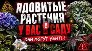 20 опасных растений и ягод, которые растут почти у каждого