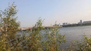 РУБРИКА ПРОГУЛКА