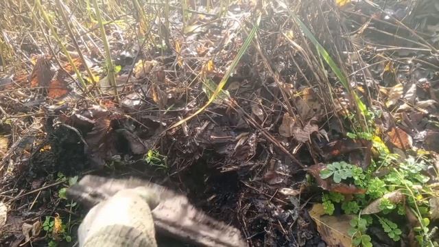 такая находка мне попадается впервые смотреть онлайн