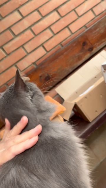 От чего теплее в плохую погоду...