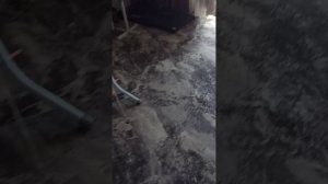 провальный челлендж.10 задание сделанные в цепи.1