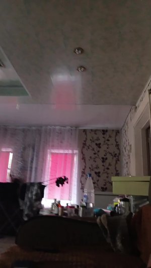 т