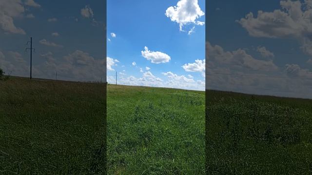 1000081332.mp4 смотреть онлайн