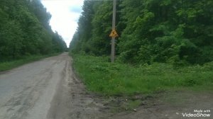 По лесу гулял нервы лечил