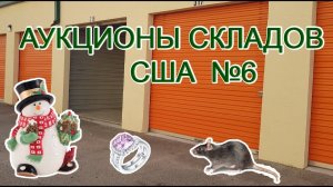 АУКЦИОН КОНТЕЙНЕРОВ В США / Находки в контейнере. Украшения и Рождество. Крыса в коробке.