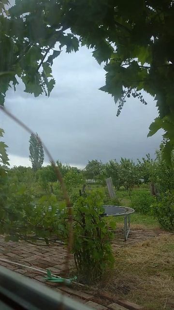 таймлапс туча смотреть онлайн