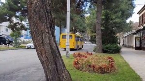 Маршрутка ЧА А09204 маршрут 121