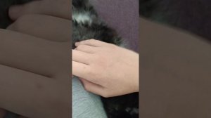 Бойся и я😺🥰