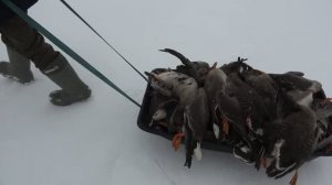 ОХОТА НА ГУСЯ В ЯКУТИИ 1 серия