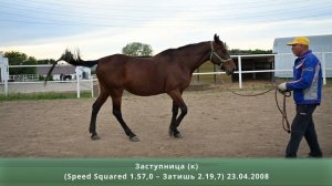 Заступница (к) (Speed Squared 1.57,0 – Затишь 2.19,7) 23.04.2008