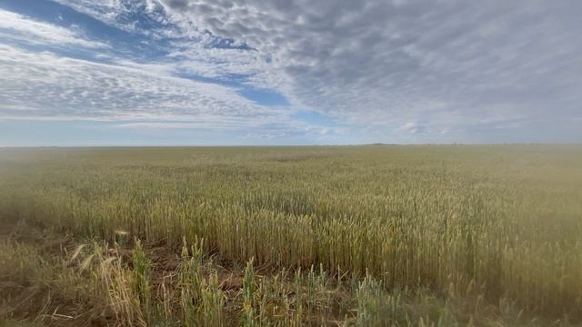 Продажа участка с. Береговое 600 м до моря