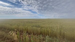 Продажа участка с. Береговое 600 м до моря