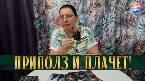 ОН ПРИПОЛЗ ТЕБЕ ПЛАКАТЬСЯ В ЖИЛЕТКУ! НА ЧТО ЖАЛУЕТСЯ? | Гадание таро расклад