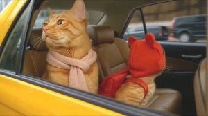 МАМА КОШКА ШЬЁТ ТИГРОВУЮ ШАПКУ ДЛЯ КОТЯТ🐾🎩🐯
