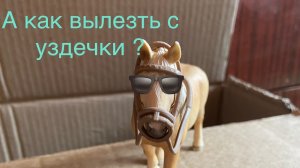 топ странных лайфхаков для лошадей часть 2🕶️