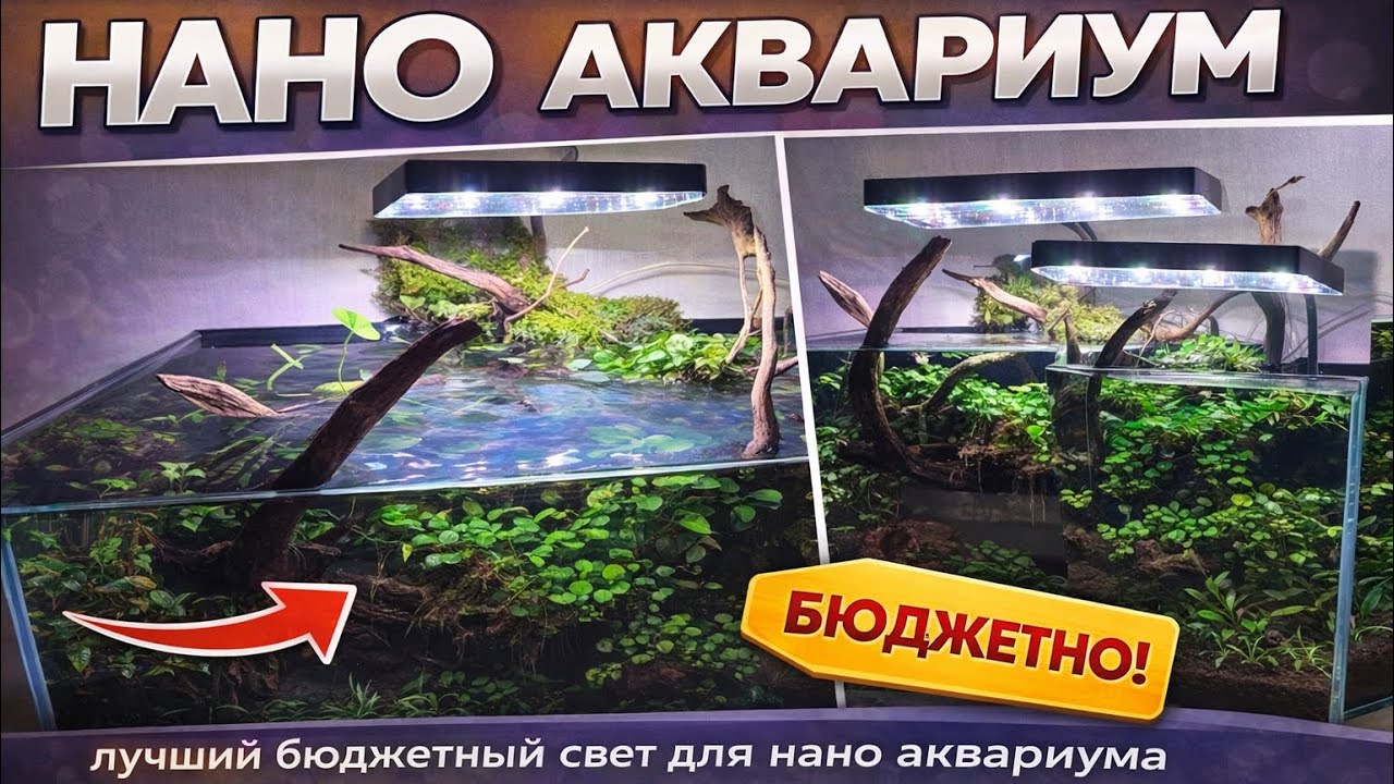 Week Aqua Mi 9 Pro спустя 4 месяца — стоит ли покупать? смотреть онлайн
