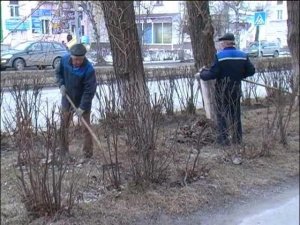 НИПОЧЕМ НИ ДОЖДЬ, НИ ВЕТЕР