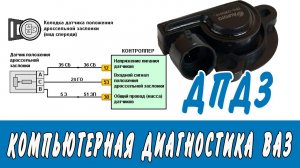 Диагностика ДПДЗ