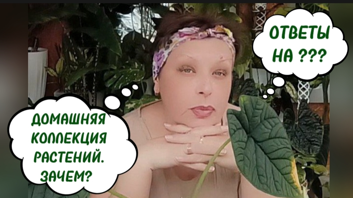 ЗАЧЕМ ТАКАЯ БОЛЬШАЯ КОЛЛЕКЦИЯ? ОТВЕТЫ НА ВОПРОСЫ. Запись стрима. 19-06-2026 смотреть онлайн
