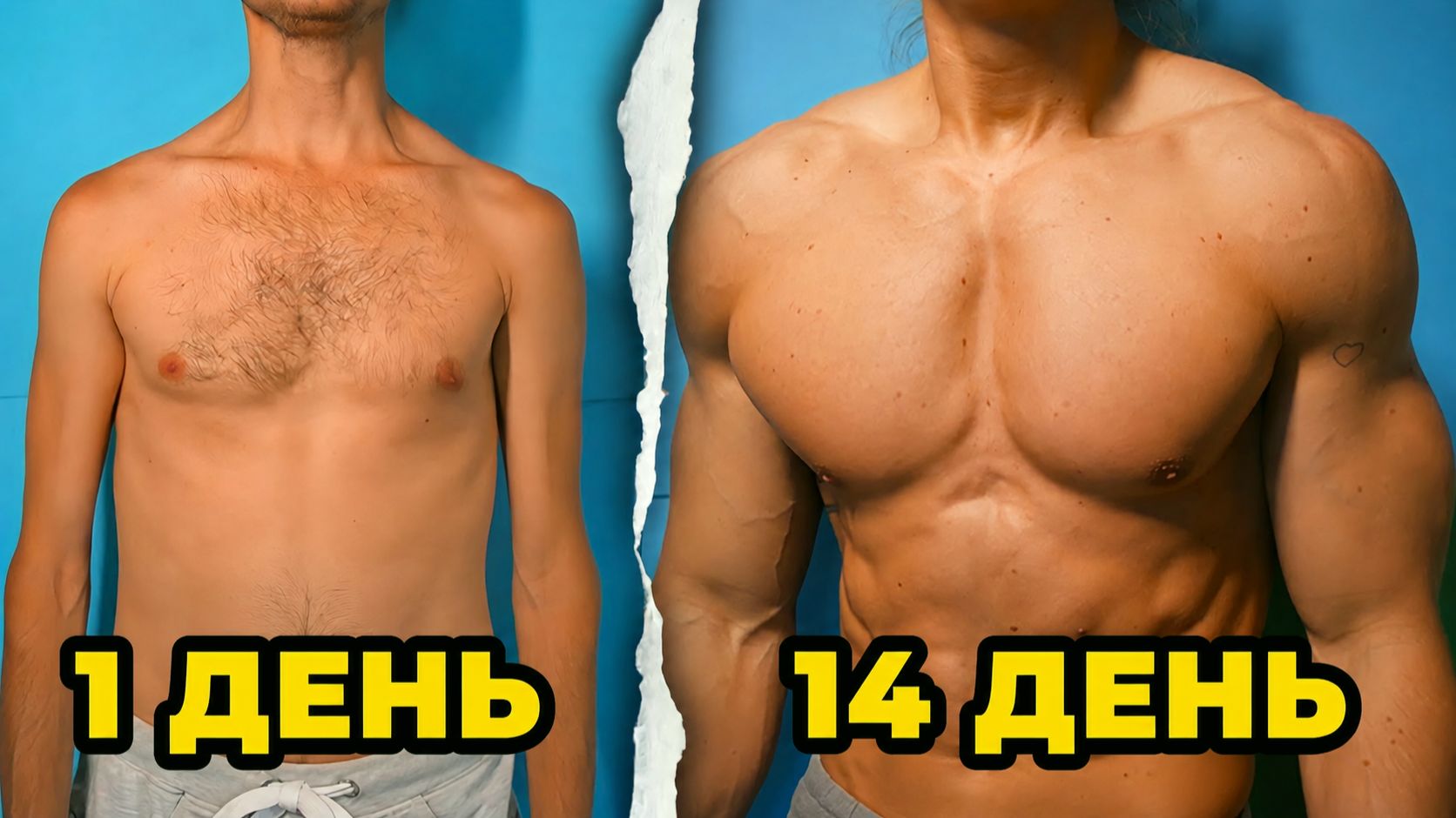 Улучши Тело за 14 ДНЕЙ | Домашняя Тренировка | Как убрать Живот