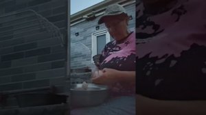 Весь приют поел колбасу