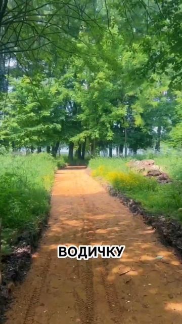 Жизнь у воды