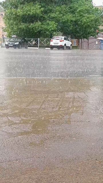 дождик пошёл 17-06-2026