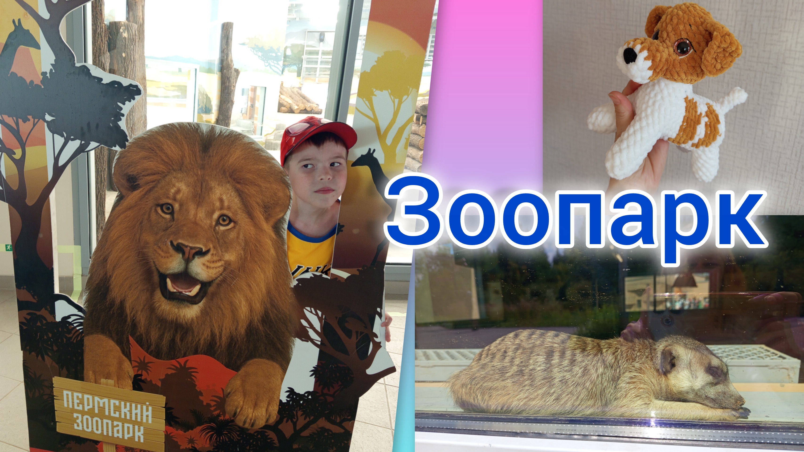 Пермский зоопарк ♥️/ Новая собачка 😍/ Много говорю , мало вяжу 🥺