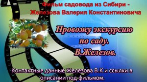 Провожу экскурсию по саду. В.Железов.