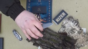 Мини бульдог от KIZER.