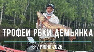 Трофейные щуки реки Демьянка, 3-7 июня 2026