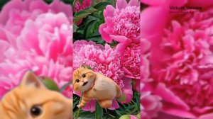 Доброе утречко? Сенсация кот танцует под знакомую музыку! 😍👍😻
