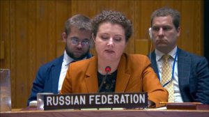Выступление А.М.Евстигнеевой в СБ ООН по Ливии